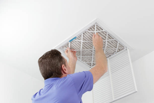 Best Mold and Mildew Removal from Ducts in Eatons Neck, NY